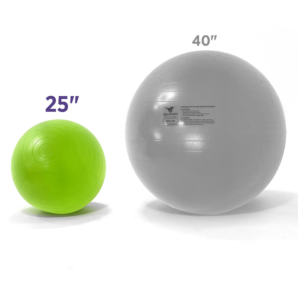 Bladder_25_40_Comparison_1 Bladder_25_40_Comparison_1