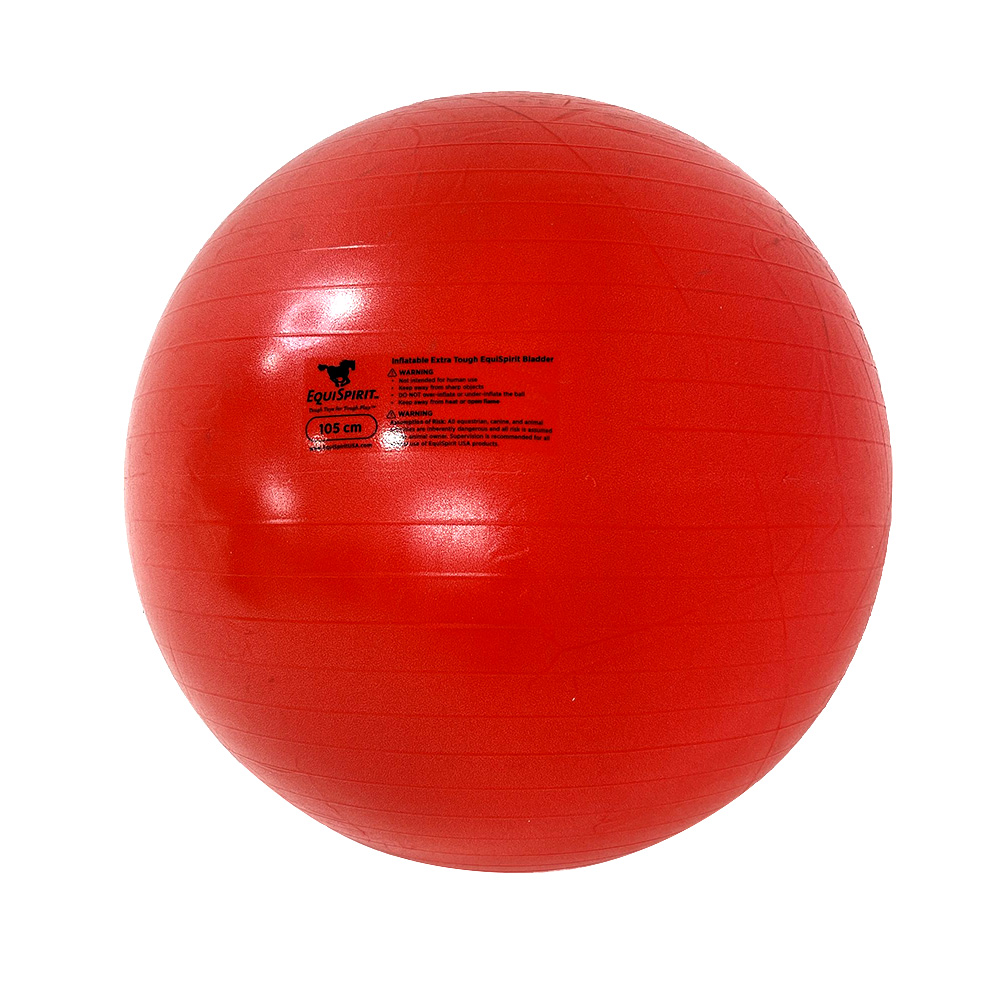 Bladder_40_Web Bladder_40_Web