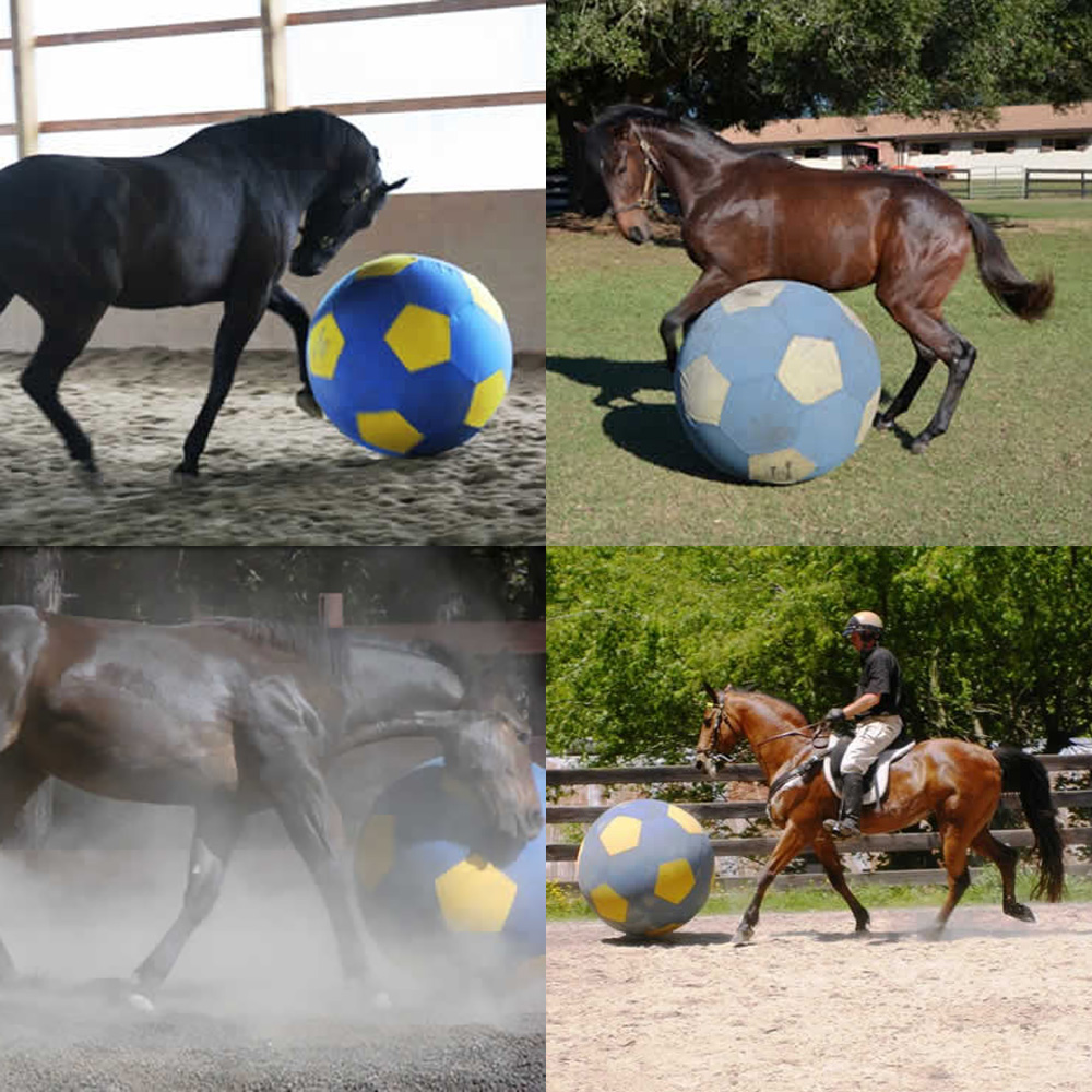 Compilation_40ST_Web