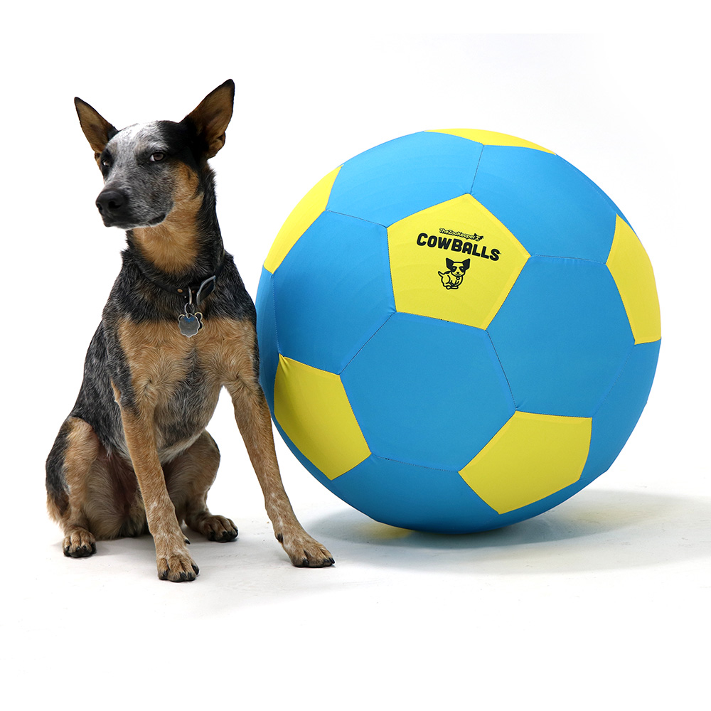 Cowball_03_Web Cowball_03_Web