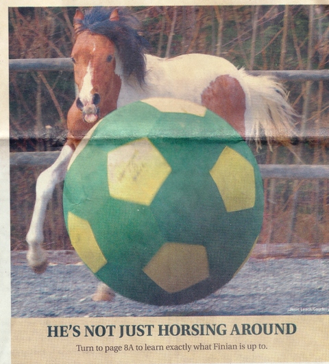 daily-coueir-pg-1_orig