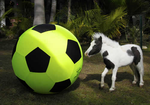 einsteinwithball_orig