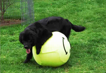 hopewithsmiley_orig1