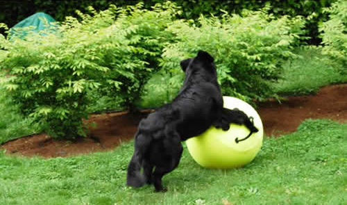 hopewithsmiley_orig2