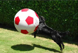 hopewithsoccer_orig1