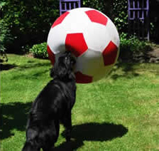 hopewithsoccer_orig2