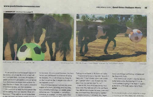 quad-cities-bus-pg-2_orig