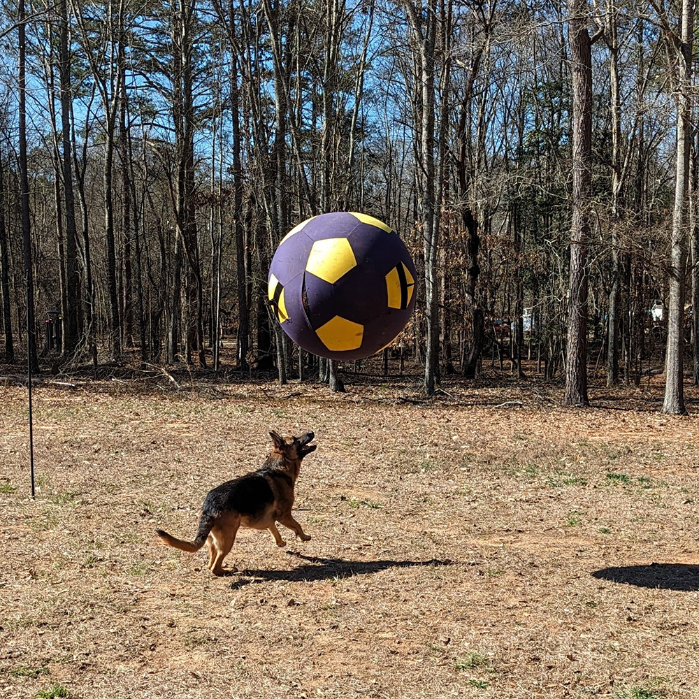 Merlot1_020624_1000px