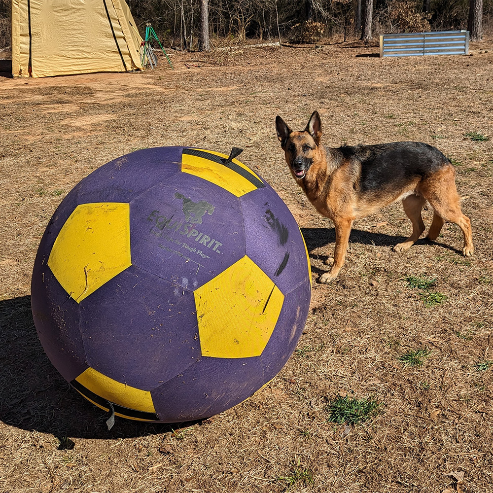 Merlot2_020624_1000px